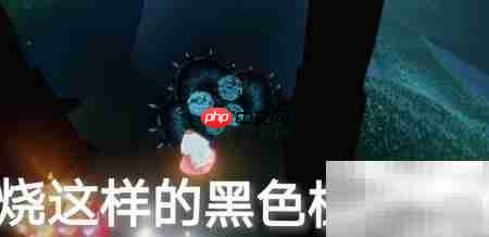 光遇2.5任务速通攻略