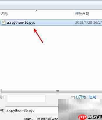 Python中打开PyC文件方法