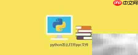 Python中打开PyC文件方法