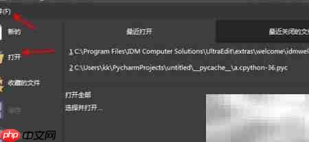 Python中打开PyC文件方法