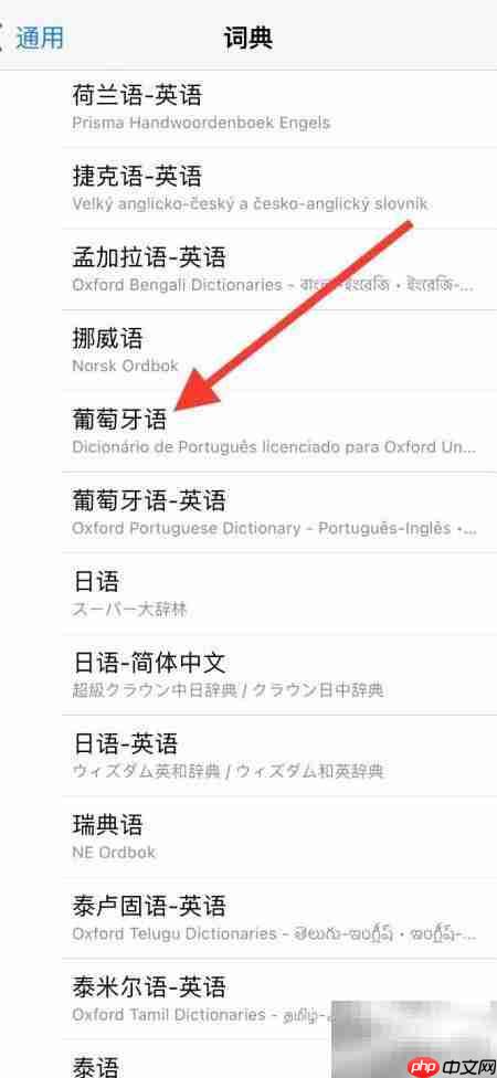 iPhone新增葡萄牙语词典