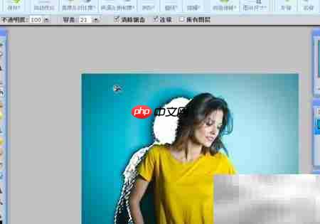 WebP魔棒工具使用技巧