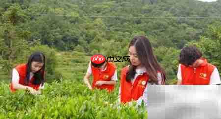 中学生助力乡村振兴