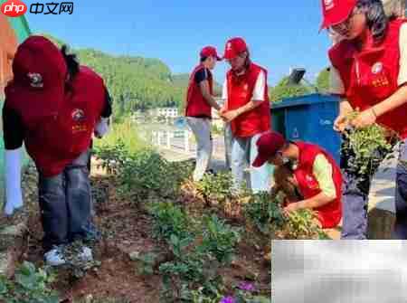 中学生助力乡村振兴