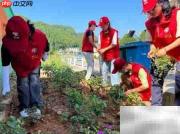 中学生助力乡村振兴