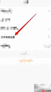 小白学打印:WPS本地文件转换