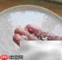 自制韩式咚咚酒,清爽好喝