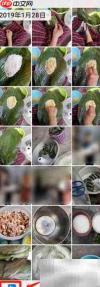 华为手机拍片全攻略