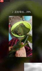 华为手机拍片全攻略