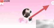 少女与猫：如何联系他们？