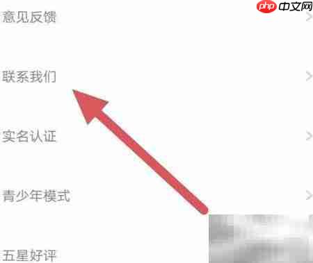 少女与猫：如何联系他们？