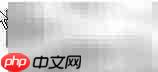 商品编码导出技巧