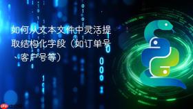 如何从文本文件中灵活提取结构化字段(如订单号、客户号等)