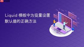 Liquid 模板中为变量设置默认值的正确方法
