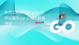 如何正确解压纯 gzip 文件以避免 tar 归档元数据残留
