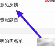 CP速配意见反馈提交指南