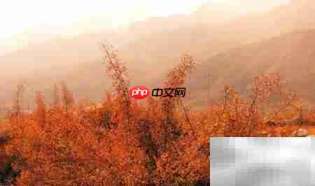 宁夏旅游必去景点推荐