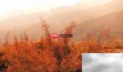 宁夏旅游必去景点推荐