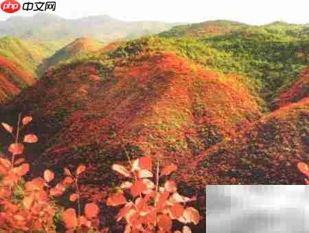 宁夏旅游必去景点推荐