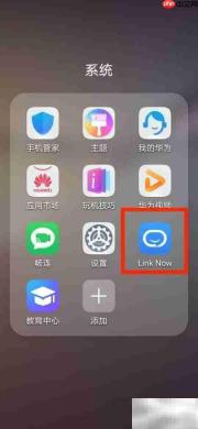 Link Now服务关闭指南