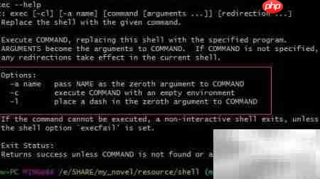 Bourne Shell中exec用法解析