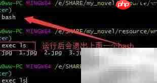 Bourne Shell中exec用法解析