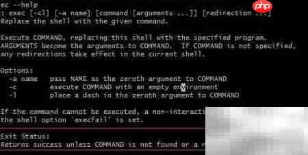 Bourne Shell中exec用法解析