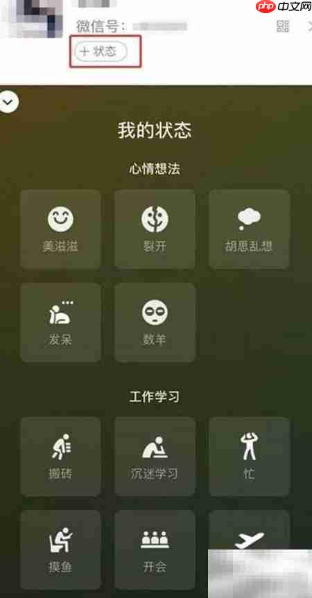 微信8.0.2新功能速览