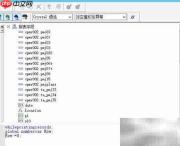 Crystal报表打印空行格子