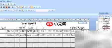 Crystal报表打印空行格子