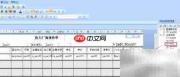 Crystal报表打印空行格子