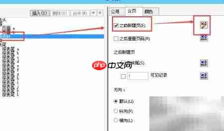 Crystal报表打印空行格子