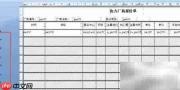 Crystal报表打印空行格子