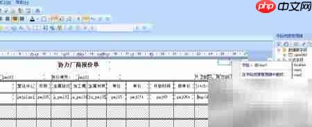 Crystal报表打印空行格子