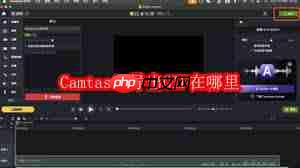 Camtasia导出GIF的方法