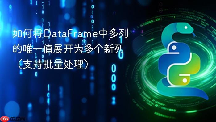 如何将DataFrame中多列的唯一值展开为多个新列(支持批量处理)