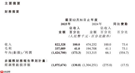 黑芝麻智能，今年有场“硬仗”要打