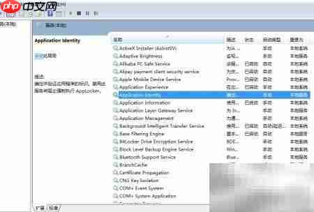 启动Application Identity服务方法