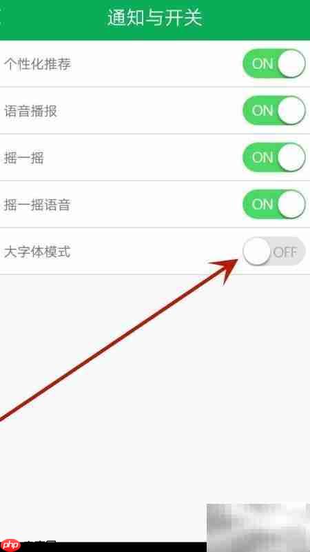 废废大字体模式开启方法