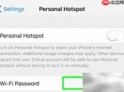 iPhone变身为iPad Pro热点