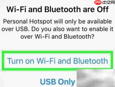 iPhone变身为iPad Pro热点