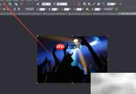Designer页面参数设置指南