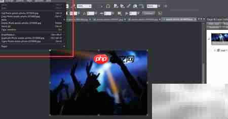Designer页面参数设置指南