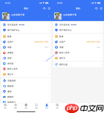 如何设置蚂蚁花呗隐藏