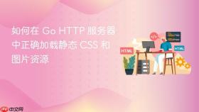 如何在 Go HTTP 服务器中正确加载静态 CSS 和图片资源

