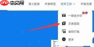 魔音工坊如何提取文案