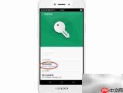 商务安全专线:OPPO后台守护