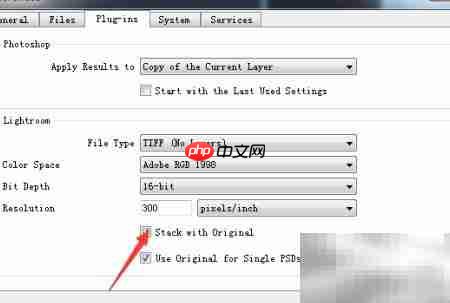 ON1 Resize 2019关闭叠加方法