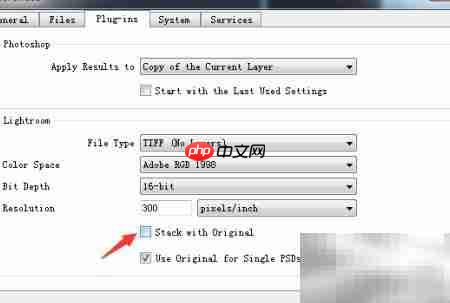 ON1 Resize 2019关闭叠加方法