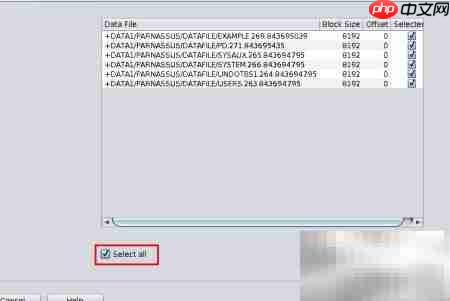 Oracle ASM数据库恢复